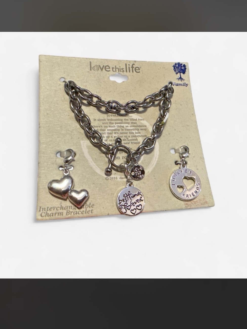 Fine Silver plated interchangeable charm bracelet